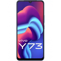 Vivo Y73 LCD Screen Display With Touch Screen Combo - Black
